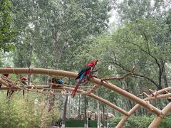 -北京野生动物园