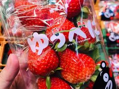-永旺(大阪巨蛋城店)