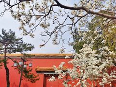 -北京市劳动人民文化宫(太庙)