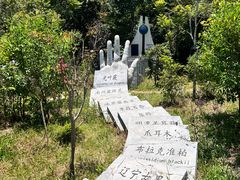 -普洱太阳河森林公园