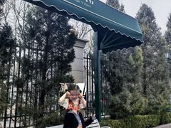 -红花点心局(护国寺店)