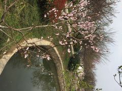 iphone_upload_pic-林屋洞景区