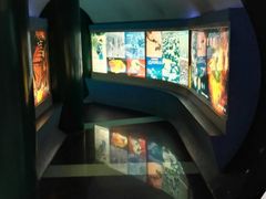 -上海昆虫博物馆