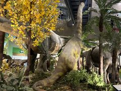 -湖南省地质博物馆