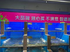 -蟹小姐节气生鲜·年货(高新店)