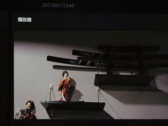-Mr.Fox狐狸先生超级密室(南山店)