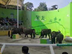 -大连森林动物园