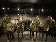 -秦始皇帝陵博物院-丽山园