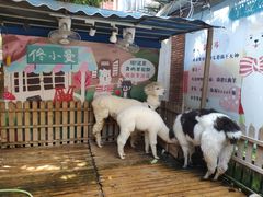 -佟小曼手工茶饼坊(鼓浪屿1店)