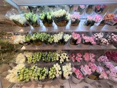 -坂田天虹