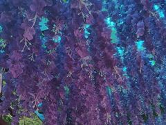 -栾川竹海野生动物园