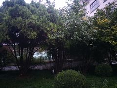 -陈家山荷花公园