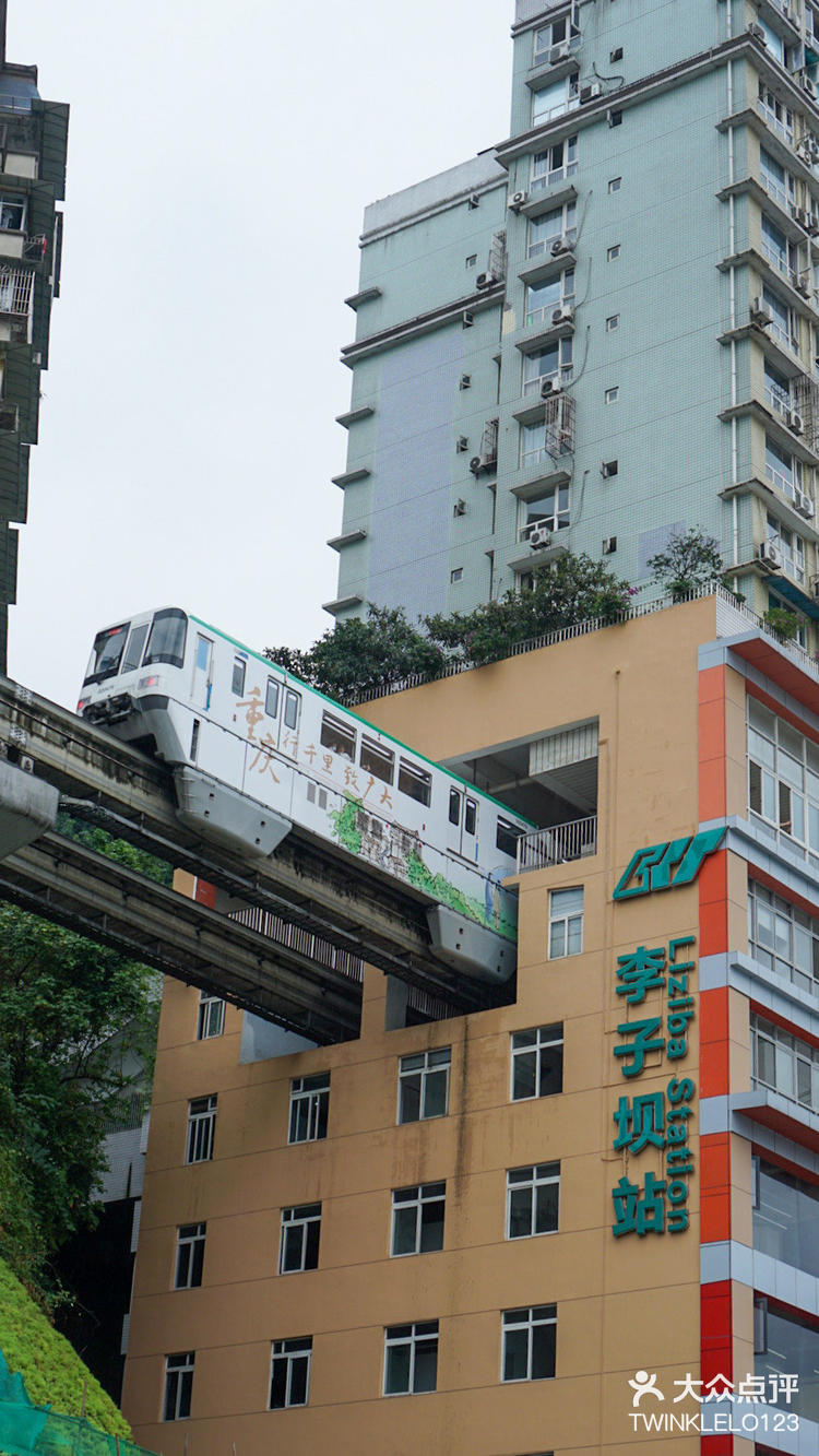 从你的全世界路过轻轨图片