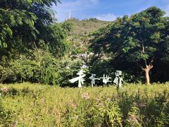 -青青世界