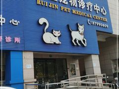 -睿金宠物医院·CT·肿瘤·骨外科