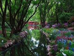 -上海共青森林公园