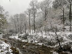 -秦岭终南山世界地质公园翠华山景区