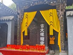 -大槐树寻根祭祖园
