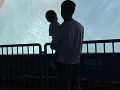 -北戴河圣蓝海洋公园