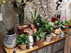 -杭州街角花屋花店(闻堰店)