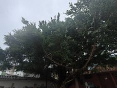 -闽粤南澳总镇府