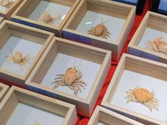 -摩登百货(岗顶店)