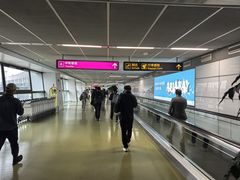 -郑州新郑国际机场-T2航站楼