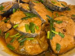 炖鲅鱼-韩记海鲜饺子旗舰店(红海新区店)