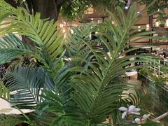 -原味田园·客家菜·土窑鸡(中航城君尚购物中心店)