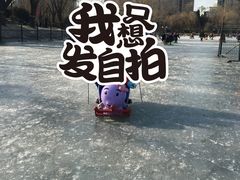 -紫竹院公园冰场