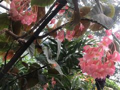 -华南国家植物园-售票处