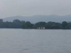 -西湖外事游船(花港观鱼码头)