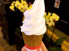 -富豪雪糕车流动点(尖沙咀)