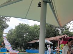 -苏州乐园森林水世界