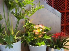 -喜湘宴·精致湖南菜(和平西桥店)