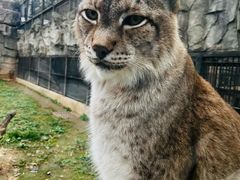 -石家庄市动物园