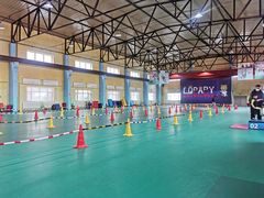 -长春乐奇平衡车儿童体能运动中心