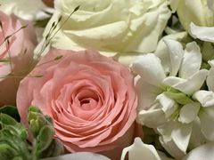 -亭亭鲜花店(中山北路店)