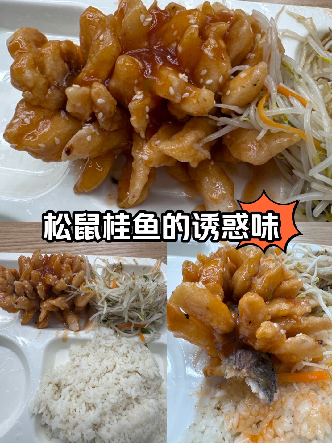 松鼠桂鱼简介图片