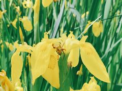 -木塔寺遗址生态公园