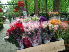 -三圣花乡旅游区