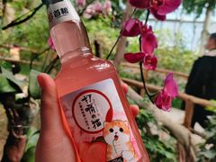 -石家庄市植物园