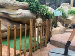 -杭州开元森泊度假乐园