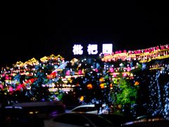 -枇杷园食为鲜火锅(南山店)