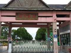 -上海都市菜园