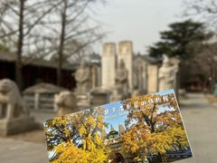 -北京石刻艺术博物馆(五塔寺)