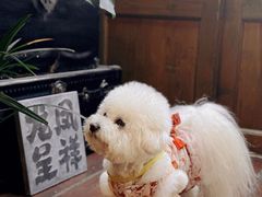 -点绛唇(鼓楼店)