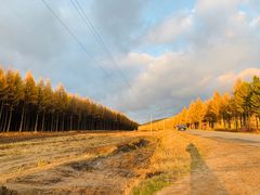 -塞罕坝国家级自然保护区
