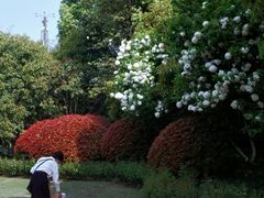 -杭州城北体育公园