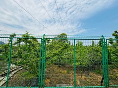 -树山生态村